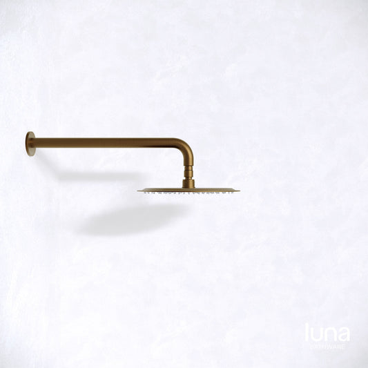 Luna Shower Arm and Head Antique Brass