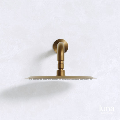 Luna Shower Arm and Head Antique Brass