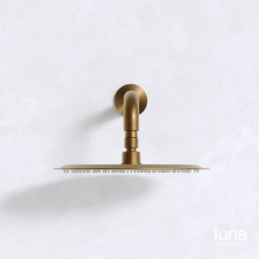 Luna Shower Arm and Head Antique Brass