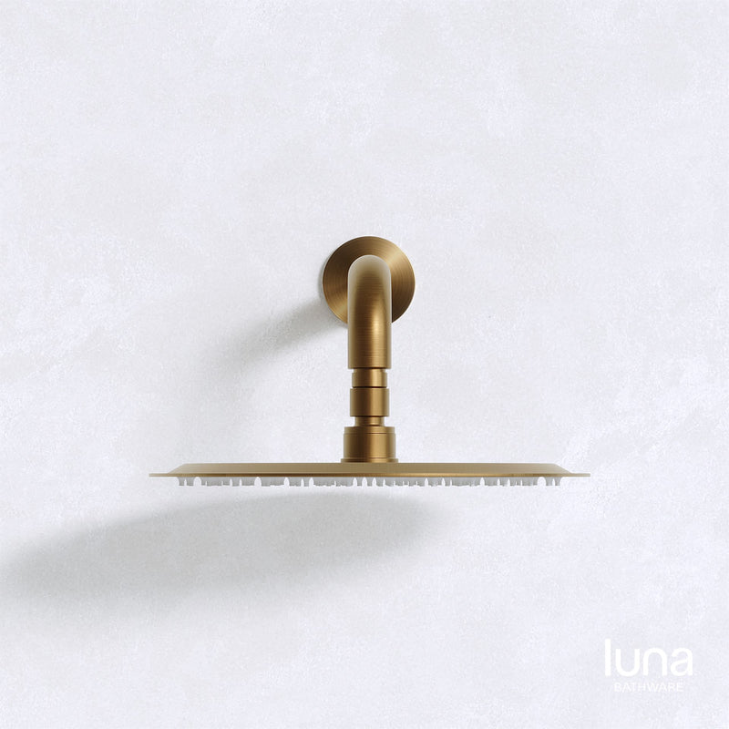 Luna Shower Arm and Head Antique Brass