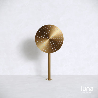 Luna Shower Arm and Head Antique Brass