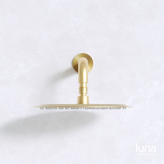 Luna Shower Arm and Head Brushed Brass
