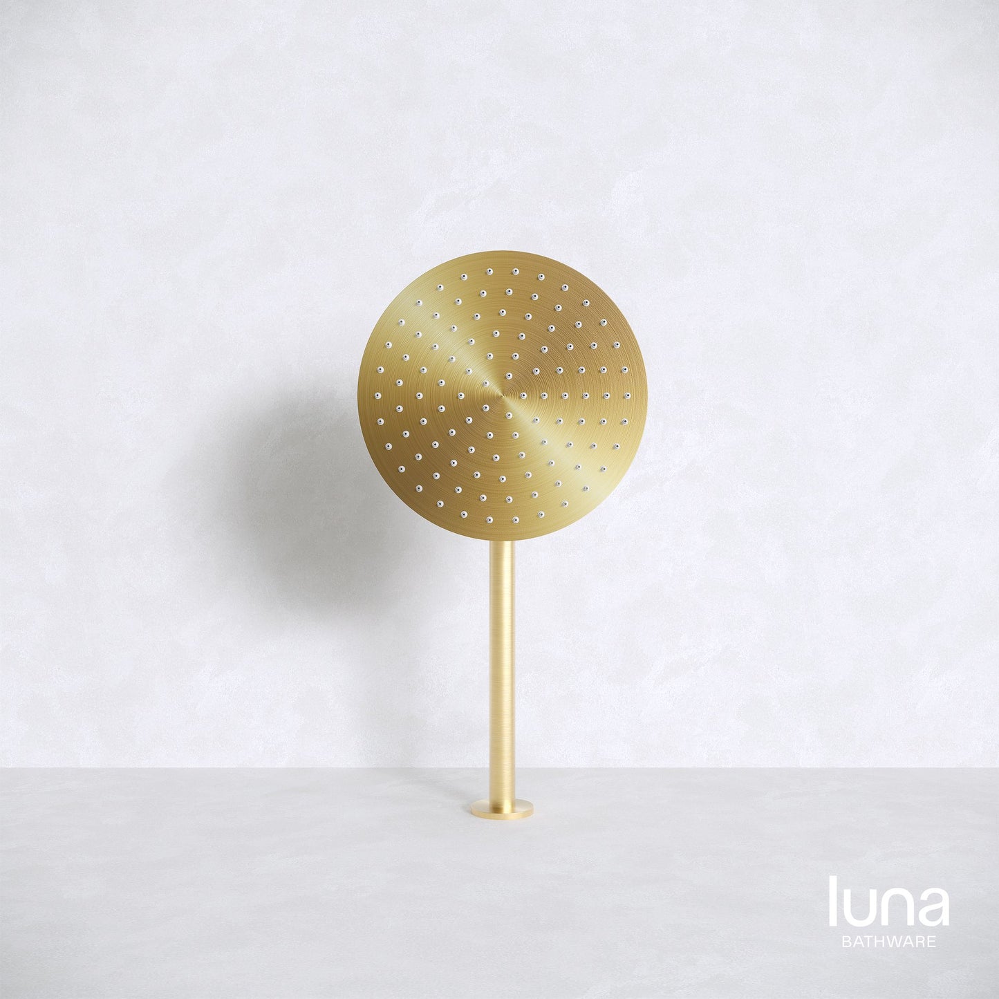 Luna Shower Arm and Head Brushed Brass